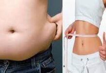 Weight Loss Tips: ये 10 नियम अपनाकर 12 हफ्ते में कम कर सकते हैं 6 किलो तक वेट