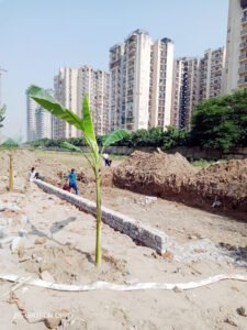 Noida News: नौएडा प्राधिकरण से की छठ घाटों के निर्माण, घाटों पर जल, प्रकाश, सफाई की व्यवस्था करने की मांग