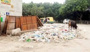 Noida News: कूड़े का ढेर लगाकर नोएडा प्राधिकरण बनना चाहता है स्वच्छता में नंबर वन: विकास जैन