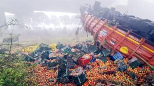 यमुना एक्सप्रेसवे से टमाटर से भरा कैंटर नीचे गिरा, दो घायल