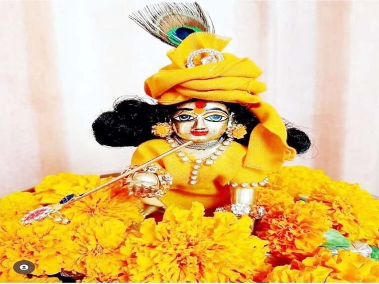 शहर में धूमधाम से मनी जन्माष्टमी