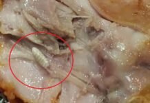 ग्रेटर नोएडा के KFC चिकन में मिला कीड़ा